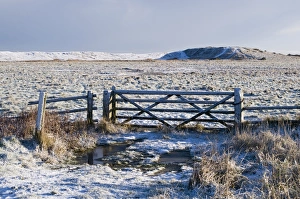Kelling Quags Kelling Norfolk winter