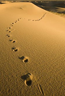 Khongoryn Els sand dunes in southern Gobi Desert Mongolia winter