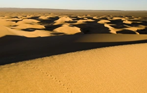Khongoryn Els sand dunes in southern Gobi Desert Mongolia winter
