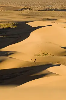 Khongoryn Els sand dunes in southern Gobi Desert Mongolia winter