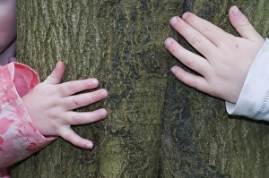 Toddler Prints: Kids hugging tree in Bluebell wood Bucks UK April
