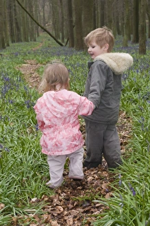 Kids playing in Bluebell Wood Bucks UK April