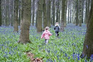 Kids playing in Bluebell Wood Bucks UK April