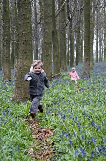 Kids playing in Bluebell Wood Bucks UK April