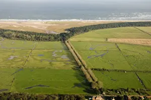 Coast Prints: Lady Annes Drive bordered by grazing marsh Holkham North Norfolk autumn