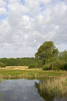 Lakenheath RSPB Reserve Suffolk