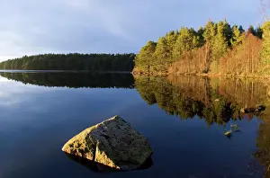 Loch Garten Cairngorm Nationmal Park Scotland winter