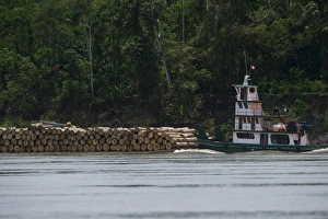 Neotropical Prints: Logging barge on River Amazon near Iquitos Peru
