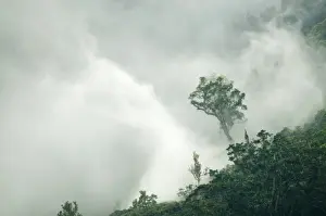 Philippines Prints: Low cloud swirling over forest on Mt Kitanglad on Mindanao Philippines