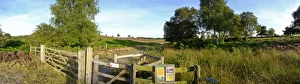 Lowland heath on Minsmere RSPB Reserve within the Suffolk Sandlings Suffolk in august