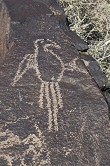 Macaw Petroglyph at Petroglyph National Monument Albuqurque New Mexico USA