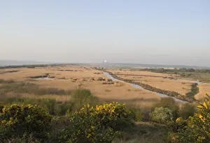 Landscape Prints: Minsmere RSPB Reserve viewed from Dunwich Heath Suffolk April