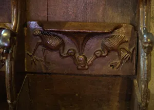 Birds And People Prints: Misericord in Lavenham Church depicting Spponbills