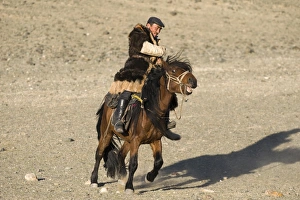A mongol horseman out on the steppe in Altai mountains near Bayan-Ulgii in western A mongol horseman out on the steppe in Altai mountains near Bayan-Ulgii in western