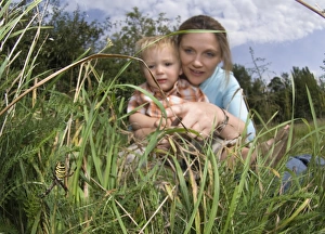 mother and 2yr old son looking at Wasp Spider in garden Kent UK summer mother and 2yr old son looking at Wasp Spider in garden Kent UK summer