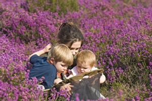 Mother and kids on heath in summer looking at insects in butterfly net Norfolk UK Mother and kids on heath in summer looking at insects in butterfly net Norfolk UK