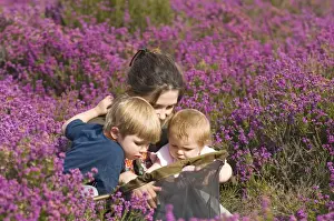 Mother and kids on heath in summer looking at insects in butterfly net Norfolk UK