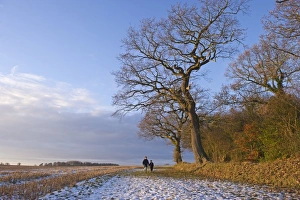 Male Prints: Mother and son walking in snow Norfolk December