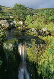 Highlands Prints: Mountain stream, Inverpolly, NW Scotland, summer