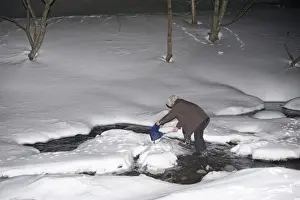 Mr Kawamura placing fish in pool for Blakistons Fish Owl at Washino-yado Inn near