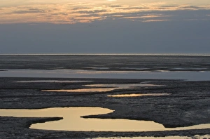 Mudflats Prints: Mudflats on The Wash off Snettisham Norfolk