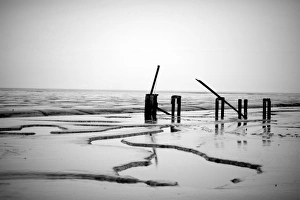 The mudflats of The Wash at Snettisham at low tide Norfolk winter The mudflats of The Wash at Snettisham at low tide Norfolk winter