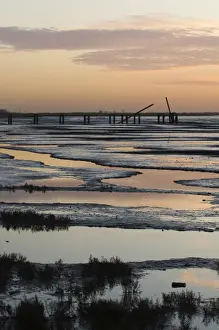 Mudflats Prints: Mudflats in the Wash at Snettisham RSPB Reserve Norfolk winter