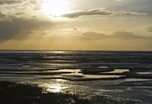 Mudflats Prints: The mudflats of the Wash viewed from Snettisham RSPB Reserve Norfolk winter
