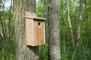 Nestbox for tits