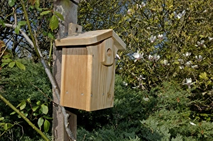 Nestbox Prints: Nestbox for tits