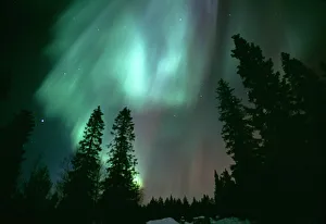 Northern Lights / Aurora Borealis, Kuusamo Finland, winter