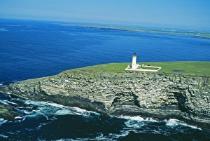 Cliff Prints: The Noup on Westray (RSPB reserve), Orkney