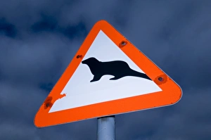 Otter Prints: Otter road crossing sign Shetland Scotland