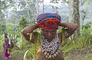 : Paiya Sing-sing group preparing for the Paiya show in Western Highlands Papua New Guinea