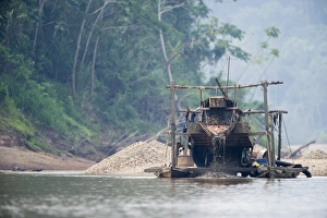 Panning for Gold on the Madre de Dios River in the Peruvian Amazon, the river boasts Panning for Gold on the Madre de Dios River in the Peruvian Amazon, the river boasts