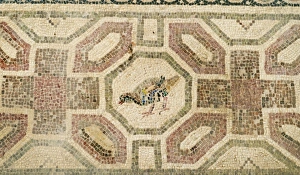 Partridge - Chukar mosaic Paphos in Cyprus, one of the strongholds of the Ptolemaic kings