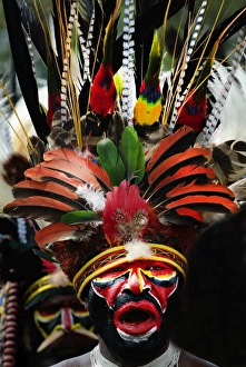 Performer from Mendi in Southern Highlands at Hagen Show Papua New Guinea Performer from Mendi in Southern Highlands at Hagen Show Papua New Guinea