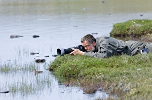 Photographer photographing Red-necked Phalaropes on Loch Funzie Fetlar Shetland summer Photographer photographing Red-necked Phalaropes on Loch Funzie Fetlar Shetland summer