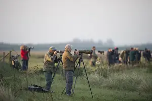 Snettisham Prints: Photographers at Anettisham RSPB Reserve on The Wash Norfolk winter