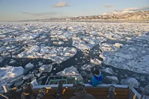 Tourist Prints: Photographers and eagles (Stellers and Sea Eagles) in pack ice in Nemuro Channel