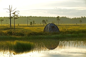 Photographic hide on pool in middle of bog, for photographing Red-throated Divers, Finland Photographic hide on pool in middle of bog, for photographing Red-throated Divers, Finland