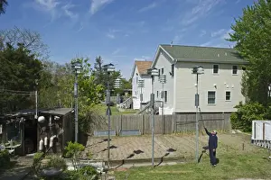 Purple Martin boxes in backyard in Cape May New Jersey USA