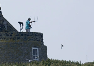 Radio tracking seabirds on Inner Farne Northumberland summer Radio tracking seabirds on Inner Farne Northumberland summer