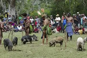 : Re-enactment of a biride wealth ceremony at Paiya Show Western Highlands Papua New Guinea