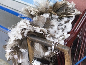 Rhea feathers being sold as feather dusters on street in Santiago Chile Rhea feathers being sold as feather dusters on street in Santiago Chile
