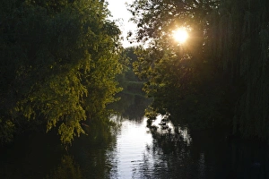 Summer Prints: River Burn in summer at Burnham Norton Norfolk