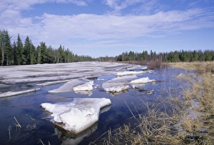 River near Rovaniemi in Finnish Lapland Finland early spring River near Rovaniemi in Finnish Lapland Finland early spring