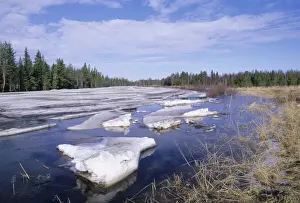 Landscape Prints: River near Rovaniemi in Finnish Lapland Finland early spring