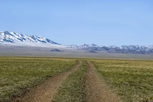 Gobi Prints: Road across the Gobi Desert below Altai Mountains within Gobi National Park Mongolia