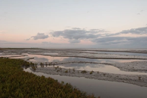 Saltmarsh and tidal mudflats of The Wash viewed on a full moon just prior to sunrise Saltmarsh and tidal mudflats of The Wash viewed on a full moon just prior to sunrise